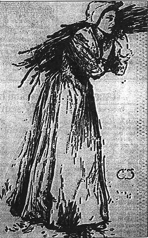 Penelope Stout, From a Newspaper Article