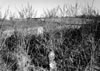 Old Quaintance Cemetery